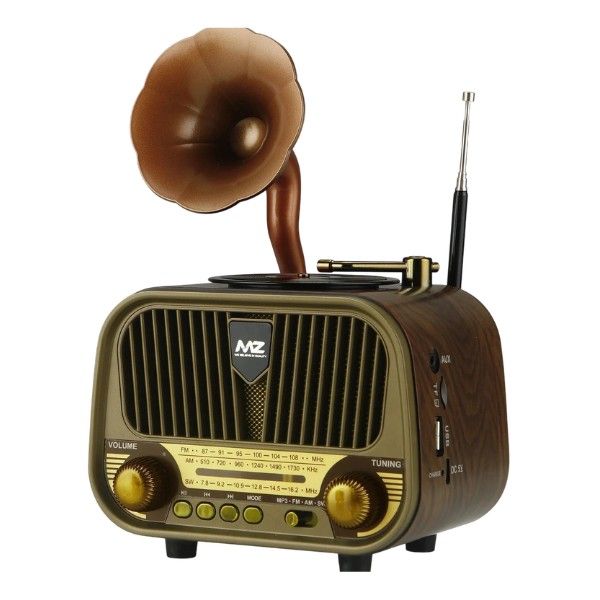 MZ M427SP FM Radio Bluetooth Speaker