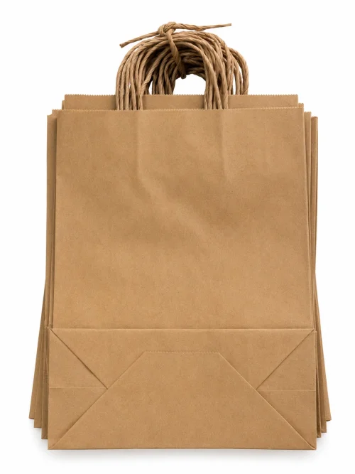 Brown Kraft Paper Carry Bag